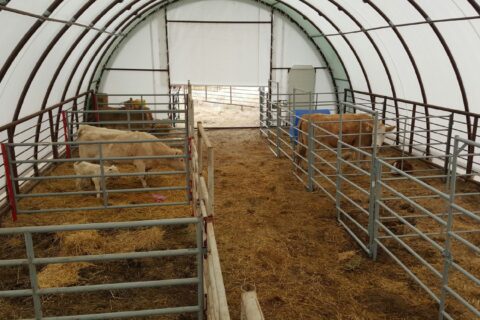 fabric building cattle shelter