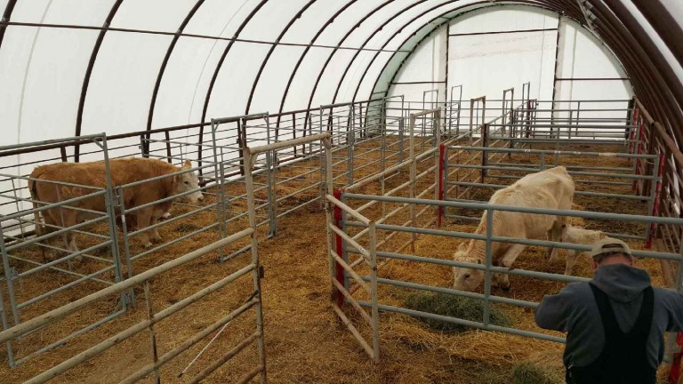 Fabric Covered Cattle Shelters & Livestock Barns