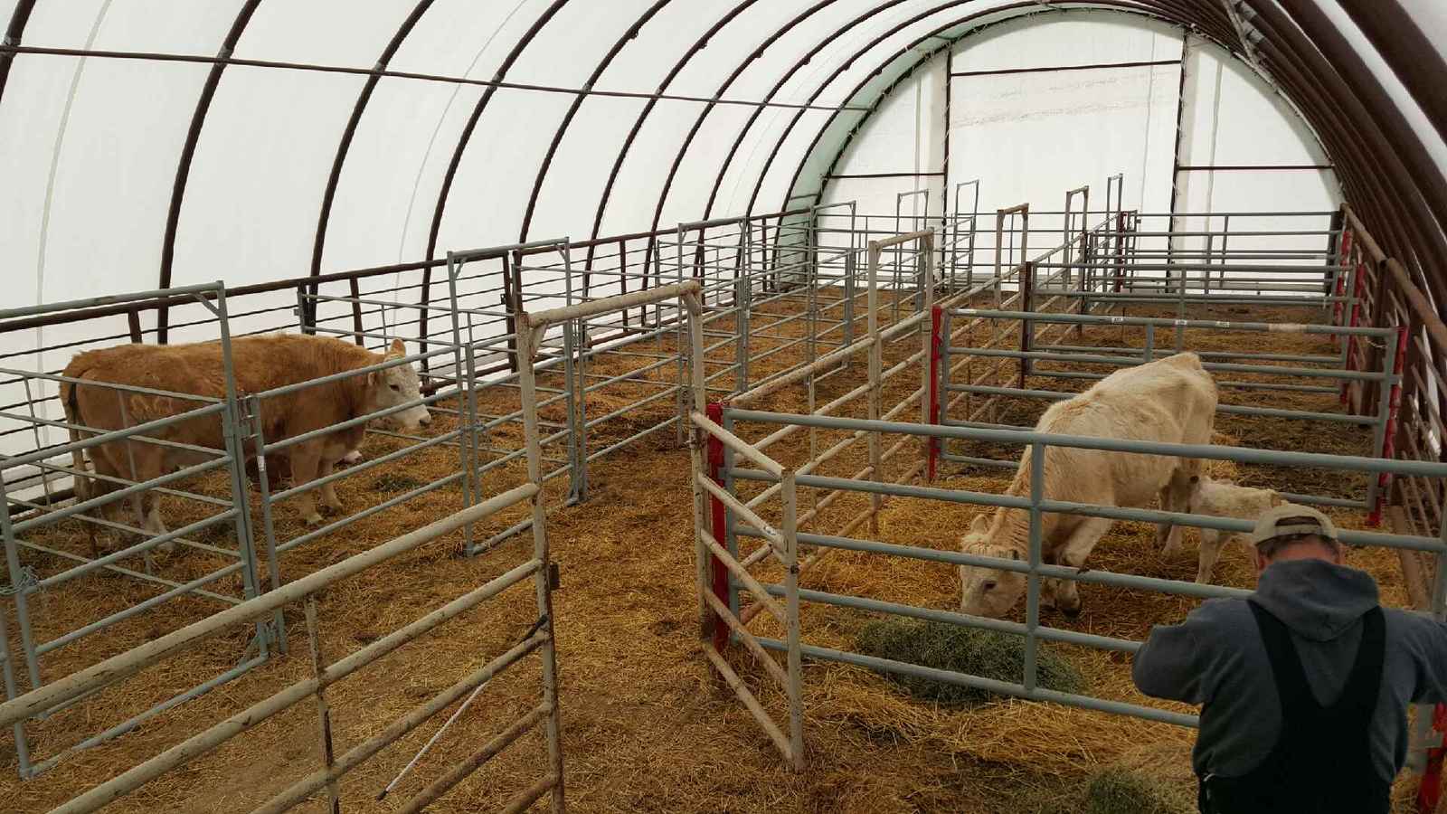 fabric livestock barn cattle shelter