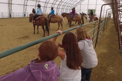 Riding Arena horse shelter