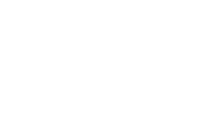 ISNetworld Logo